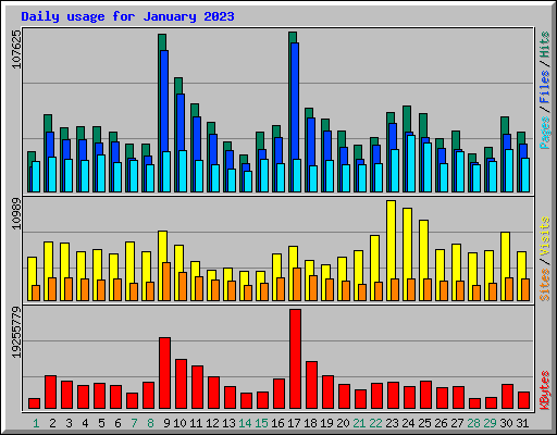 Daily usage for January 2023