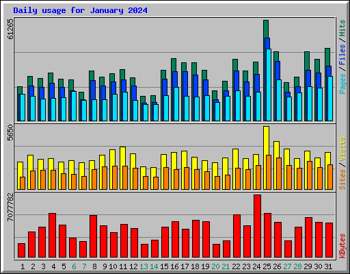 Daily usage for January 2024