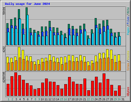 Daily usage for June 2024