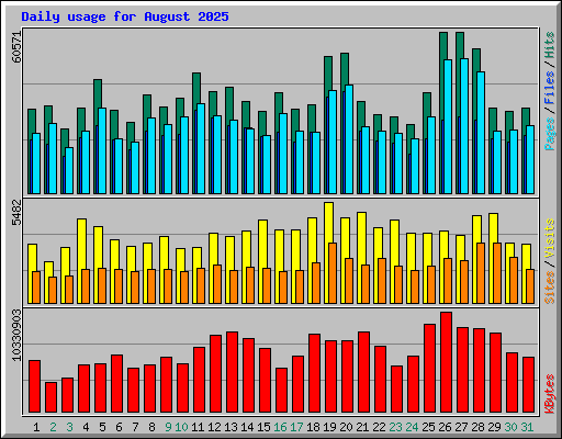 Daily usage for August 2025