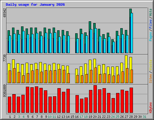 Daily usage for January 2026
