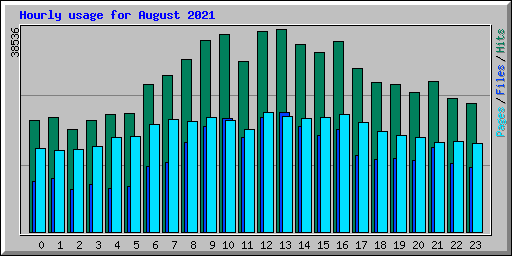 Hourly usage for August 2021