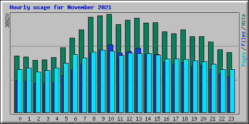Hourly usage for November 2021