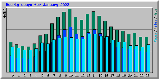 Hourly usage for January 2022