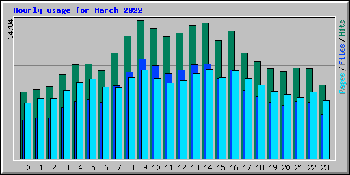 Hourly usage for March 2022