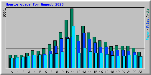 Hourly usage for August 2023