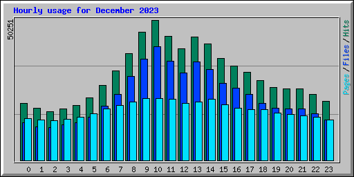 Hourly usage for December 2023