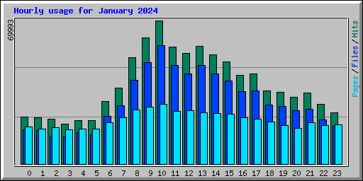 Hourly usage for January 2024