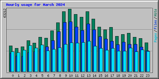 Hourly usage for March 2024