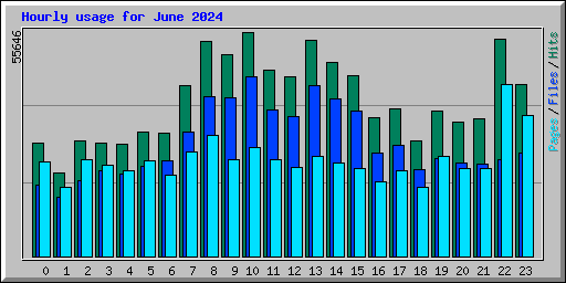 Hourly usage for June 2024