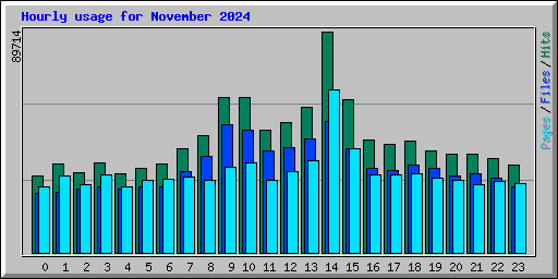 Hourly usage for November 2024