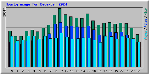 Hourly usage for December 2024