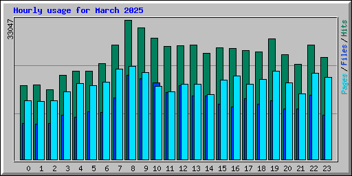 Hourly usage for March 2025