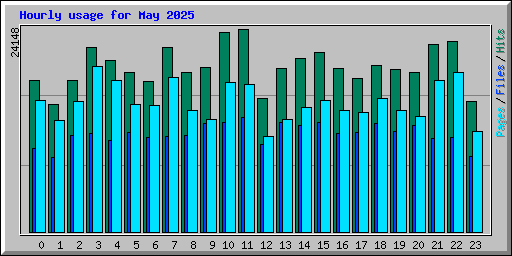 Hourly usage for May 2025