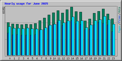 Hourly usage for June 2025
