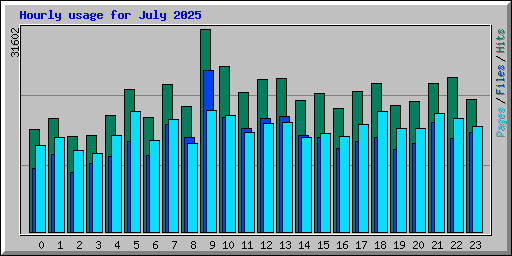 Hourly usage for July 2025