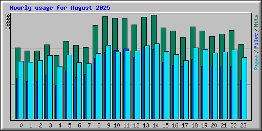 Hourly usage for August 2025