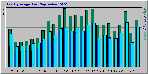 Hourly usage for September 2025