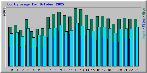 Hourly usage for October 2025