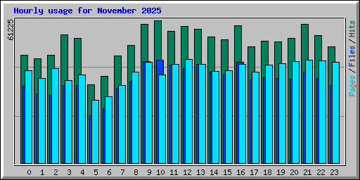 Hourly usage for November 2025