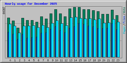 Hourly usage for December 2025