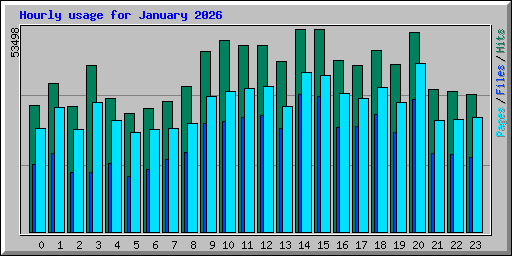 Hourly usage for January 2026