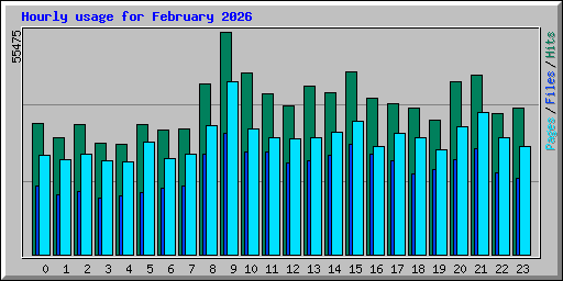Hourly usage for February 2026